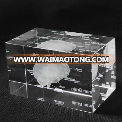 3D Laser Etched  Brain design Anatomical Model Paperweight in Crystal Glass Cube Science Gift